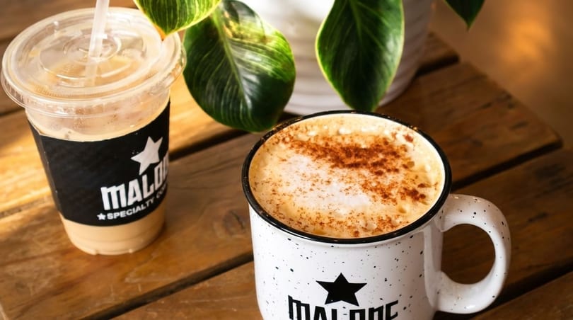 Iced coffee and a hot latte with cinnamon on a wooden table next to a green plant.